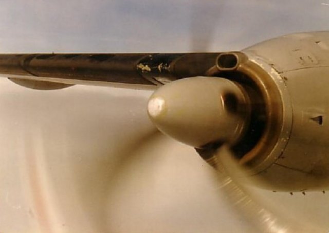 dm008f27fostarboardviewcopy2.jpg