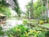 md001lookingoverthepondtothelegendbar_small.jpg